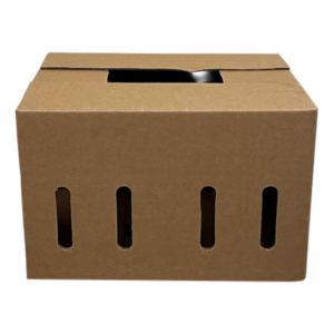 EZ PAC Breadfruit Box