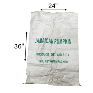 EZ PAC Printed Woven (Pumpkin) Bag
