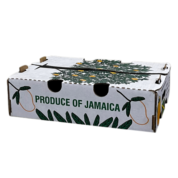 EZ PAC Mango Box